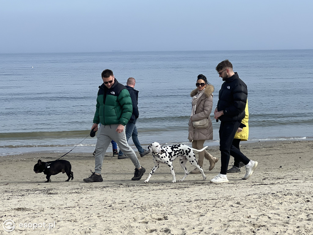 Sopot przyciągnął tłumy w Wielką Sobotę! Wiosenne zdjęcia z kurortu [FOTO]