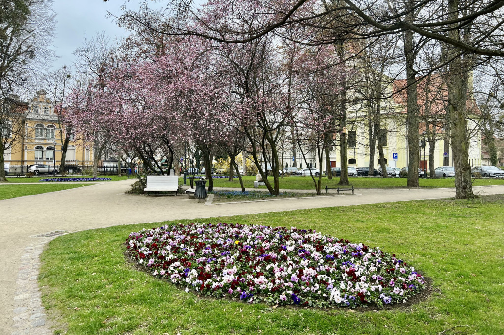 Wiosna budzi się kolorami w Sopocie! Spokojny weekend w kurorcie [FOTO]