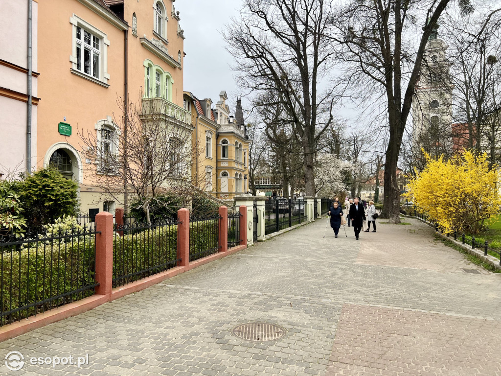 Wiosna budzi się kolorami w Sopocie! Spokojny weekend w kurorcie [FOTO]