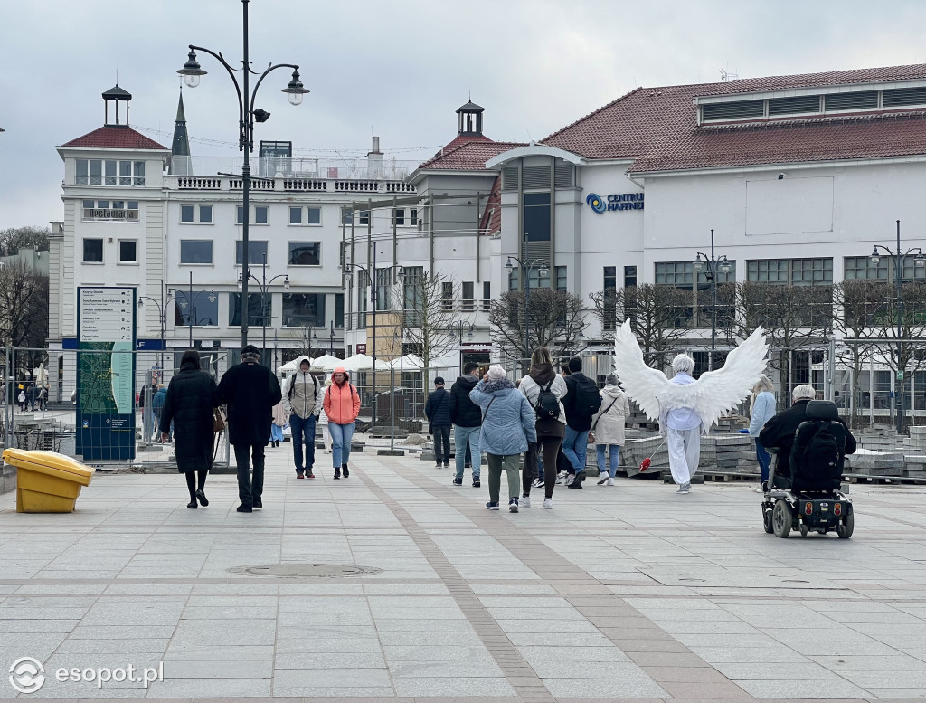 Wiosna budzi się kolorami w Sopocie! Spokojny weekend w kurorcie [FOTO]