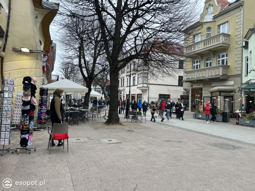 Wiosna budzi się kolorami w Sopocie! Spokojny weekend w kurorcie [FOTO]
