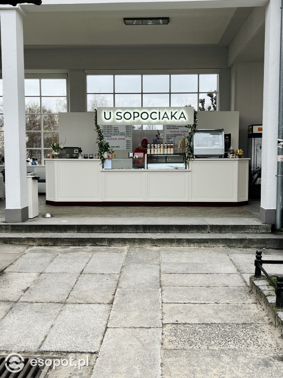 Wiosna budzi się kolorami w Sopocie! Spokojny weekend w kurorcie [FOTO]