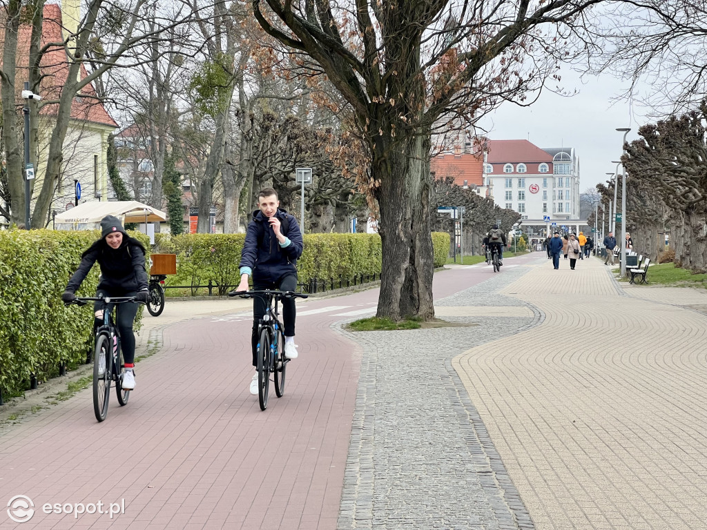 Wiosna budzi się kolorami w Sopocie! Spokojny weekend w kurorcie [FOTO]