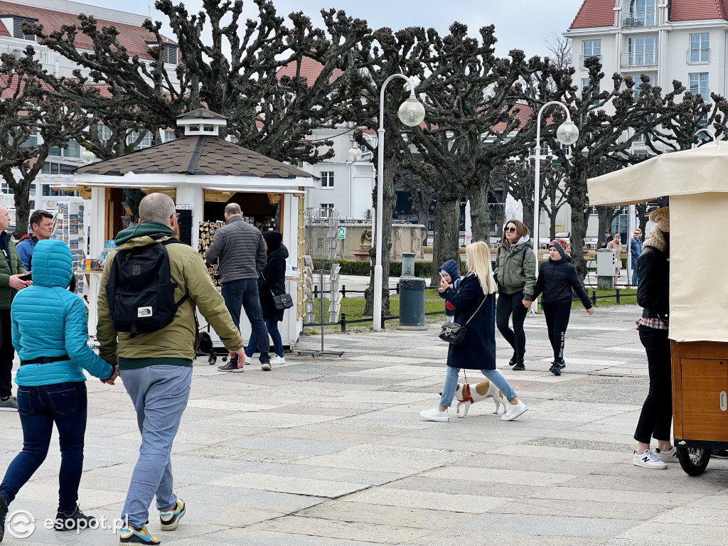 Wiosna budzi się kolorami w Sopocie! Spokojny weekend w kurorcie [FOTO]