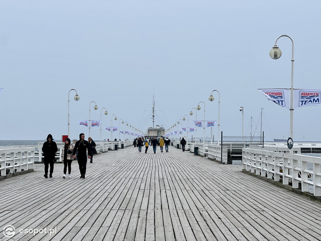 Wiosna budzi się kolorami w Sopocie! Spokojny weekend w kurorcie [FOTO]