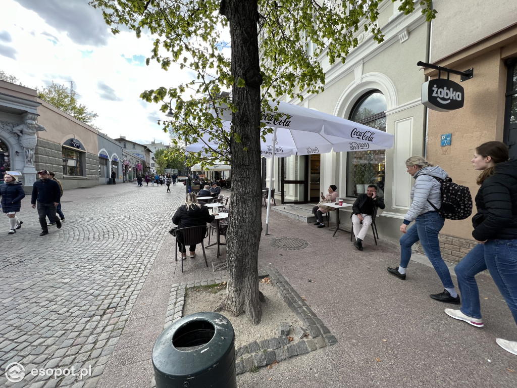 Sprawdziliśmy ceny w Sopocie! Za zapiekankę zapłacimy tyle, co za duży obiad [FOTO]