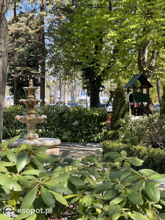 Sopot rozpoczyna sezon! Zdjęcia ze słonecznego kurortu [FOTO]