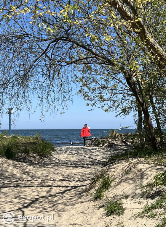 Sopot rozpoczyna sezon! Zdjęcia ze słonecznego kurortu [FOTO]