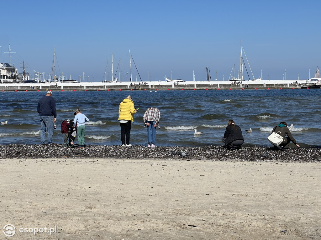 Sopot rozpoczyna sezon! Zdjęcia ze słonecznego kurortu [FOTO]