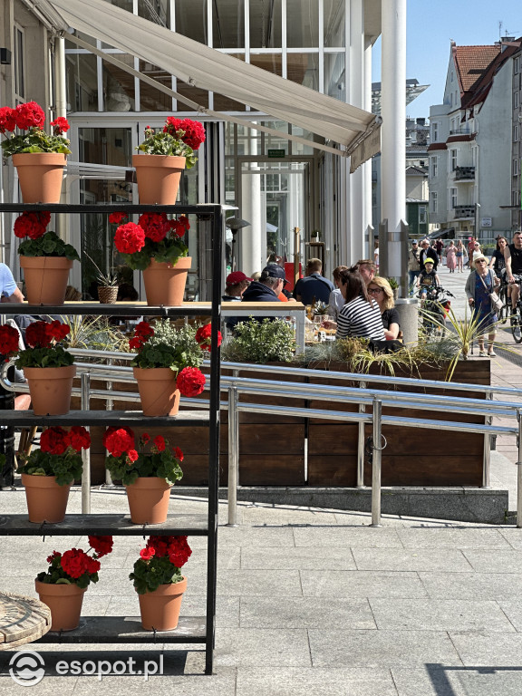 Letnia atmosfera w pierwszy weekend czerwca! Sopot jak z pocztówki [FOTO]