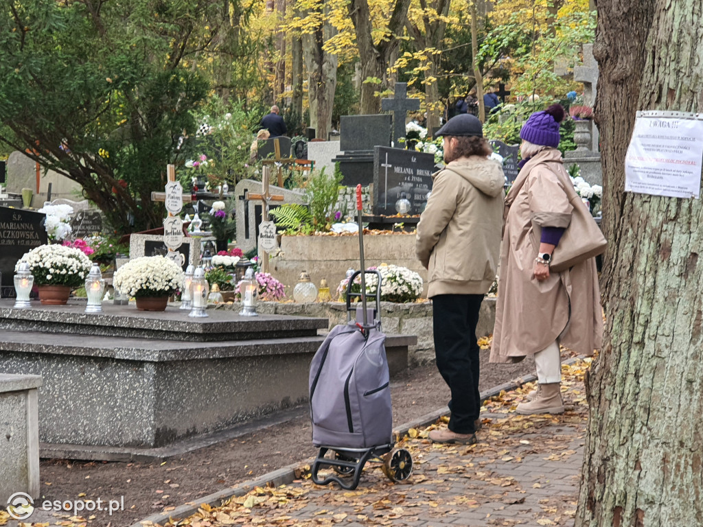 Wszystkich Świętych w Sopocie. Mieszkańcy tłumnie ruszyli na cmentarze [FOTO]