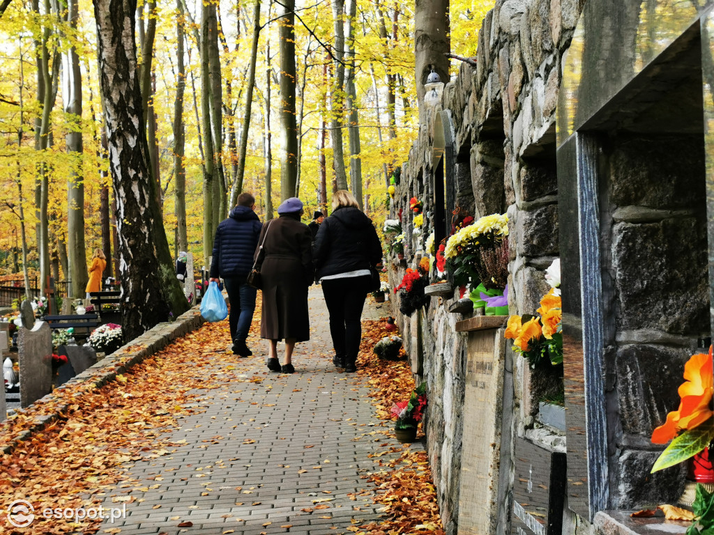 Wszystkich Świętych w Sopocie. Mieszkańcy tłumnie ruszyli na cmentarze [FOTO]