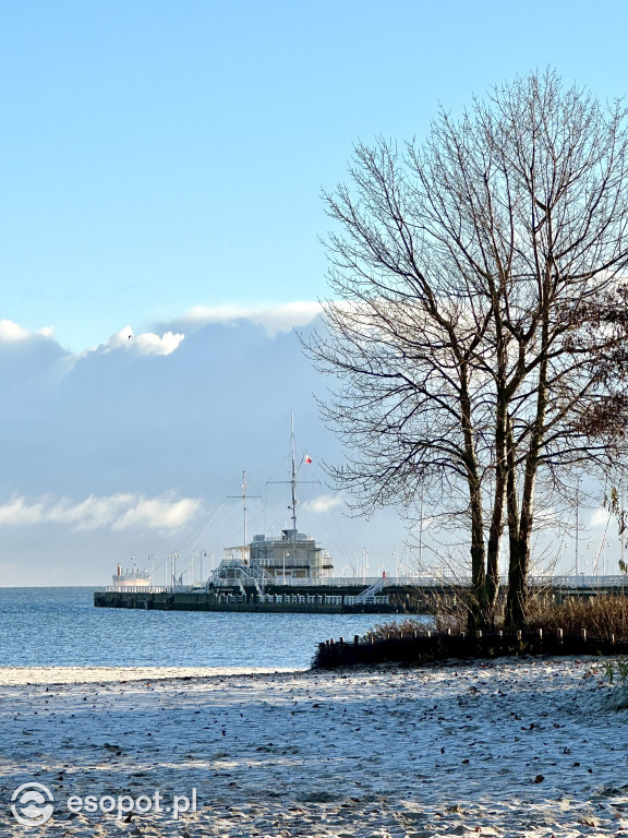 Sopot pięknieje w bieli! W takie dni jest jak z bajki [FOTO]