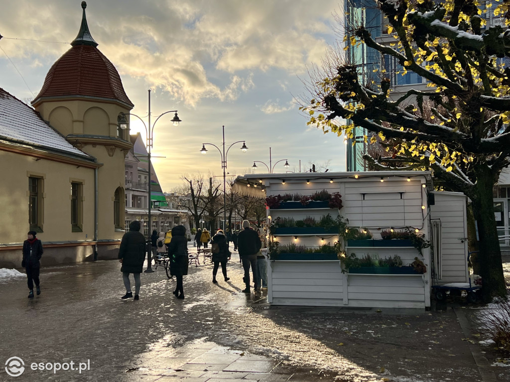 Taka jesień, że zima w Sopocie! Magiczny kurort na zdjęciach [FOTO]