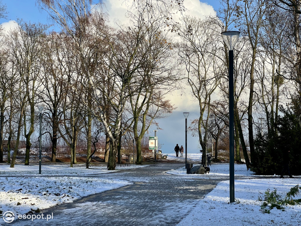 Taka jesień, że zima w Sopocie! Magiczny kurort na zdjęciach [FOTO]