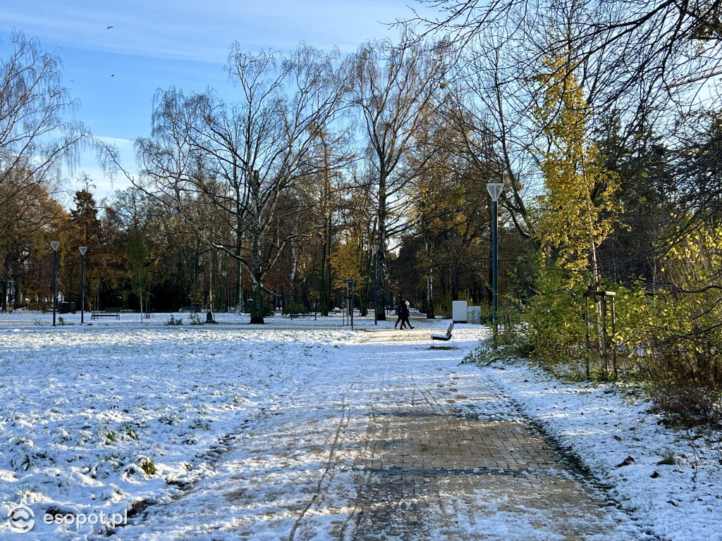 Taka jesień, że zima w Sopocie! Magiczny kurort na zdjęciach [FOTO]