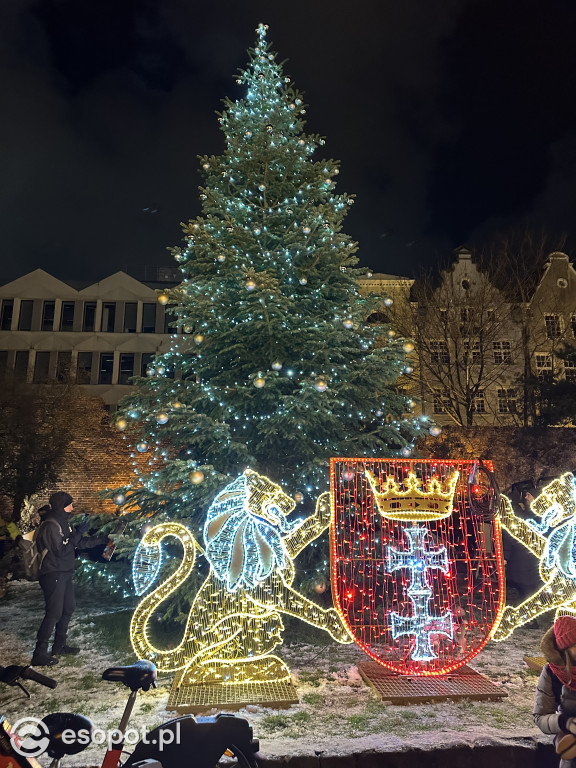 Wystartował Jarmark Bożonarodzeniowy w Gdańsku! To ponad 170 stoisk i kuchnie z całego świata [FOTO]