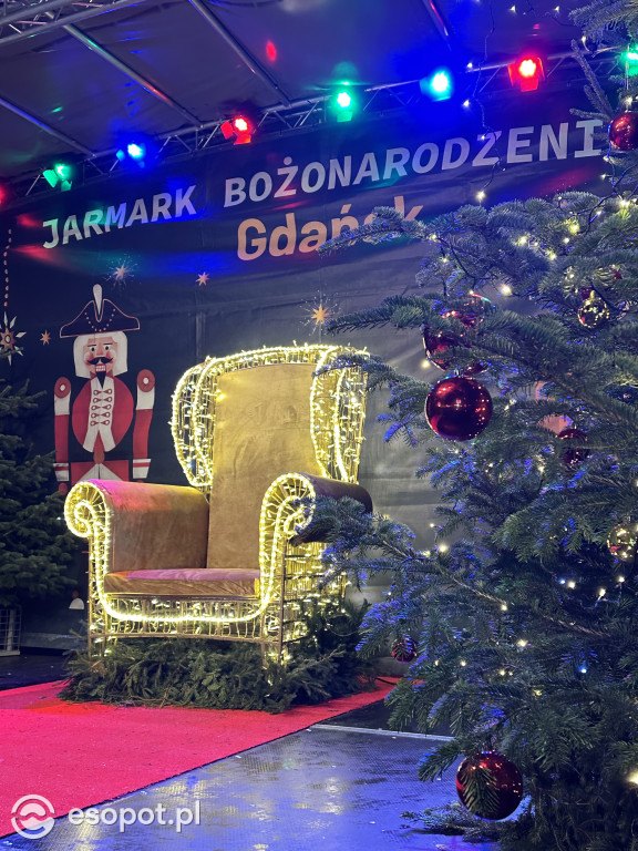 Wystartował Jarmark Bożonarodzeniowy w Gdańsku! To ponad 170 stoisk i kuchnie z całego świata [FOTO]