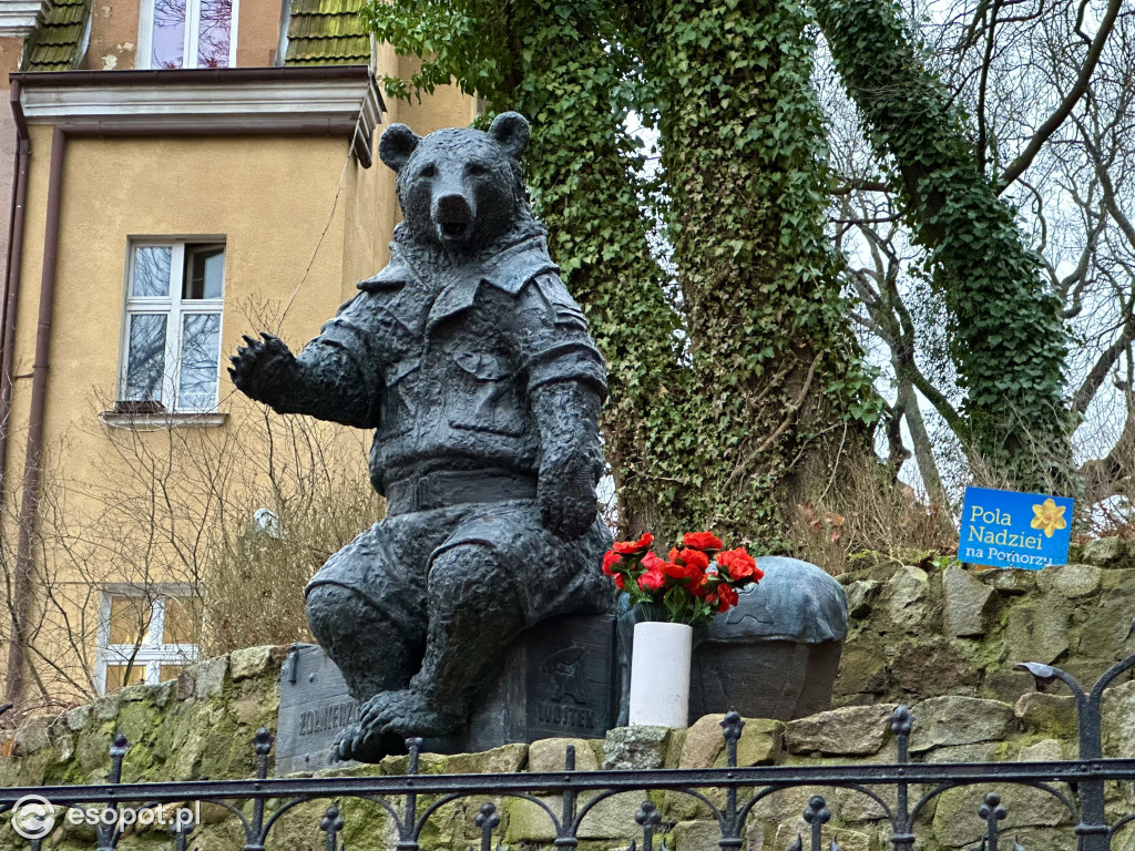 Czy Sopot zapadł w sen zimowy? Czuć, że święta coraz bliżej [FOTO]