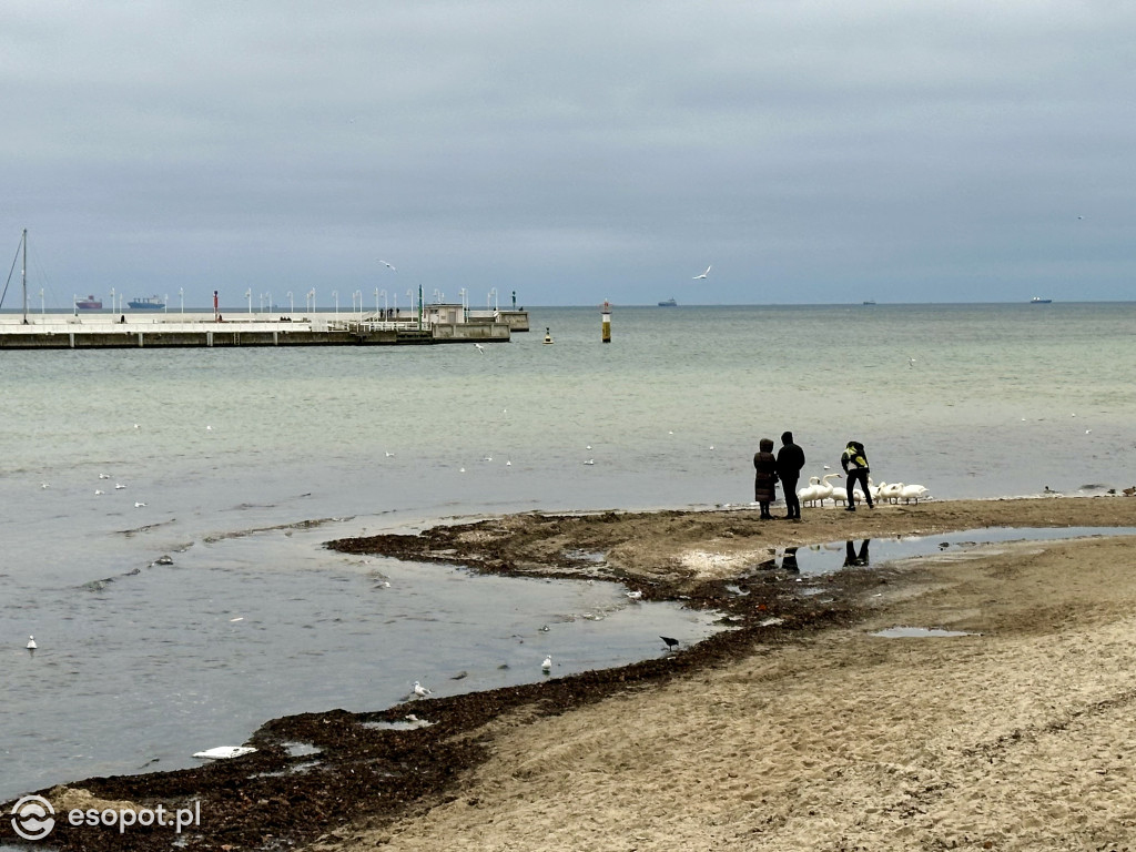 Czy Sopot zapadł w sen zimowy? Czuć, że święta coraz bliżej [FOTO]