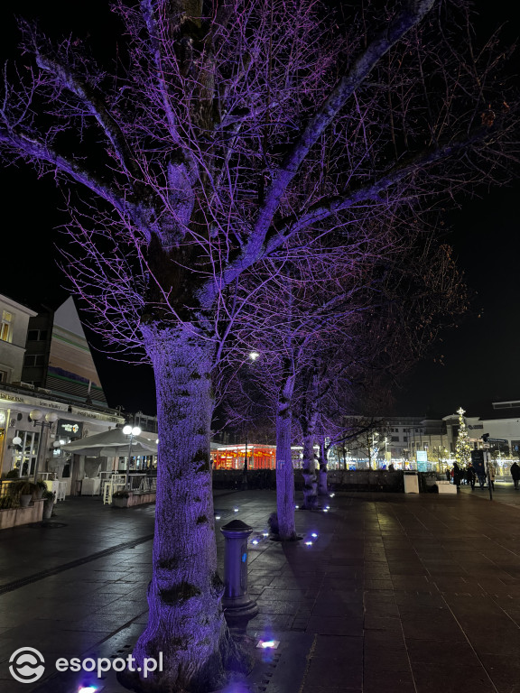 Taki był Nowy Rok! Zobacz Sopot na nastrojowych zdjęciach [FOTO]