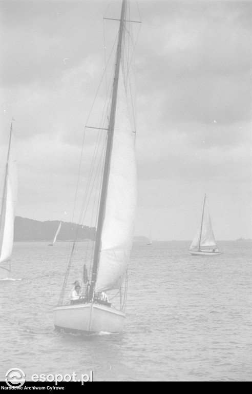 Sopot i Gdynia na archiwalnych zdjęciach! Zobacz niezwykłe kadry z lat 1948-1953 [FOTO]