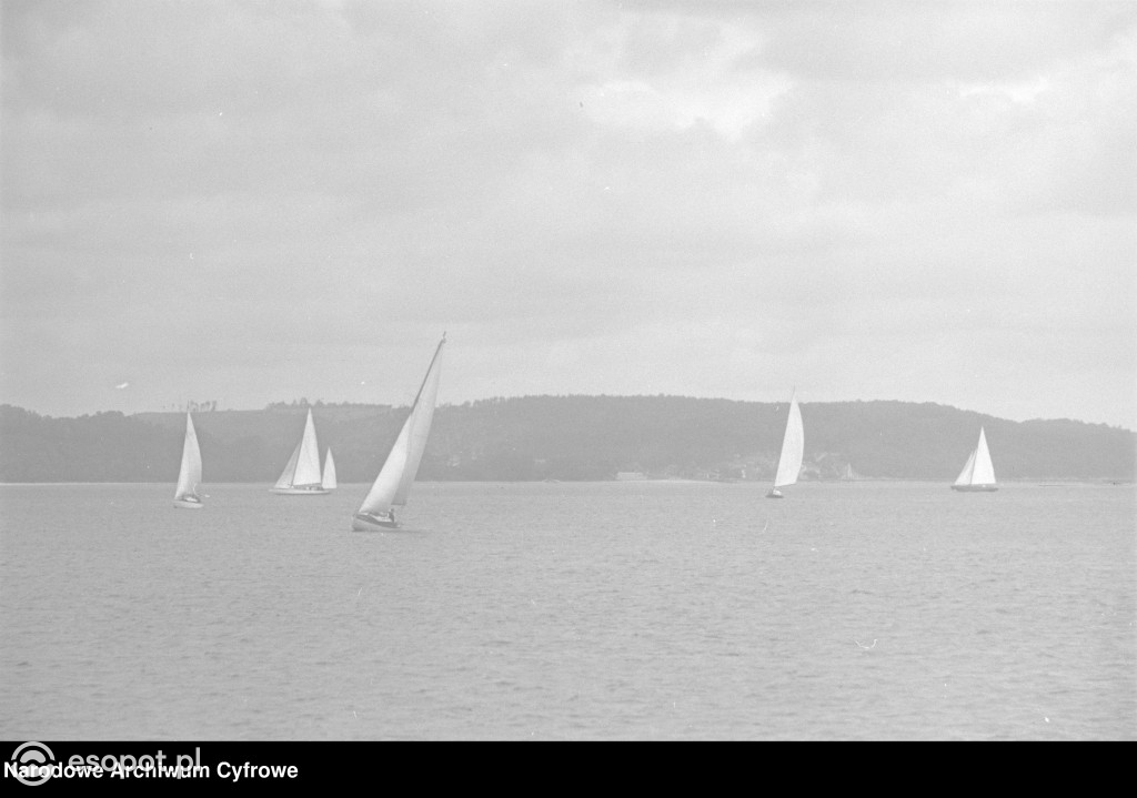 Sopot i Gdynia na archiwalnych zdjęciach! Zobacz niezwykłe kadry z lat 1948-1953 [FOTO]