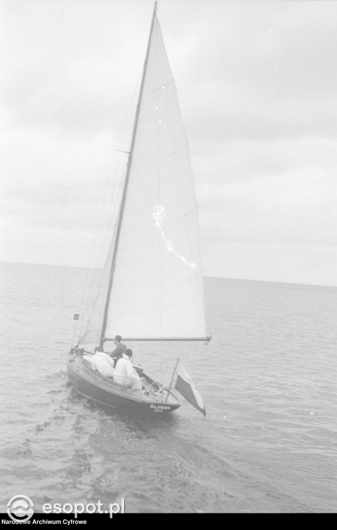 Sopot i Gdynia na archiwalnych zdjęciach! Zobacz niezwykłe kadry z lat 1948-1953 [FOTO]