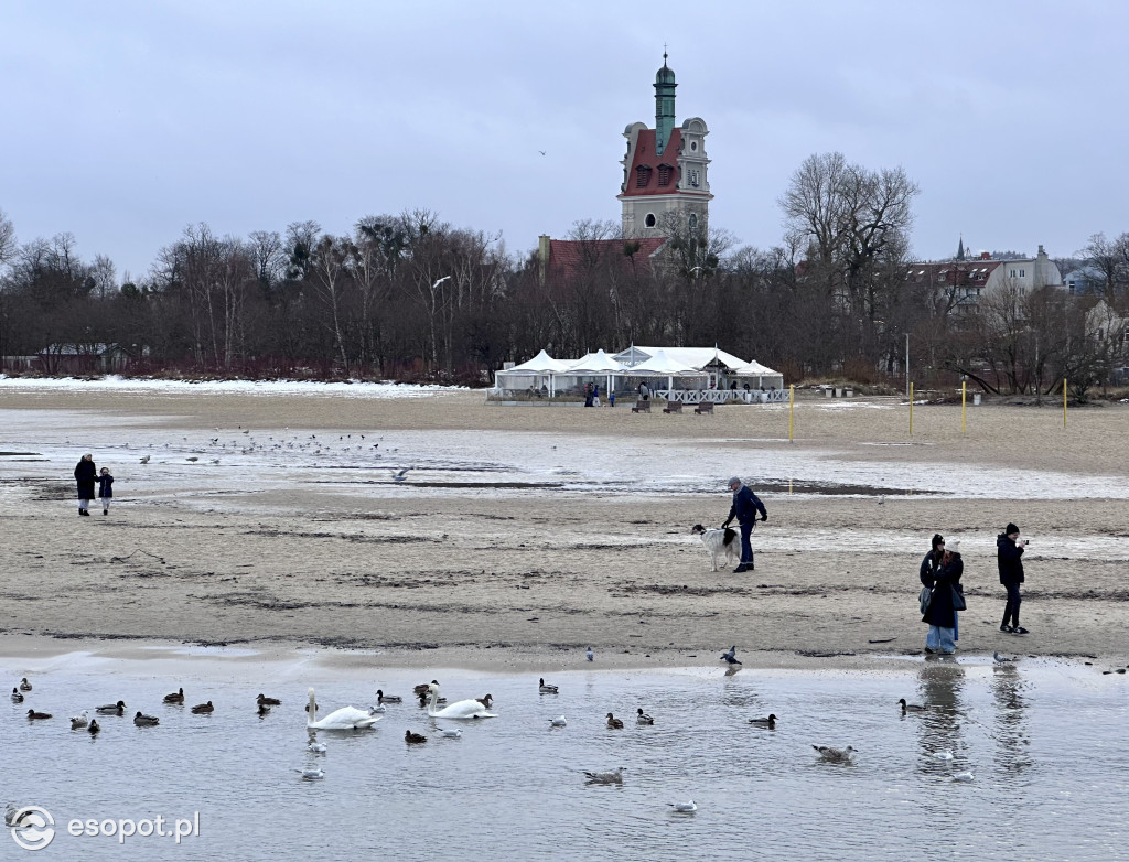 Sopot przywitał czas ferii zimowych na mokro! Pochmurny kurort na zdjęciach [FOTO]