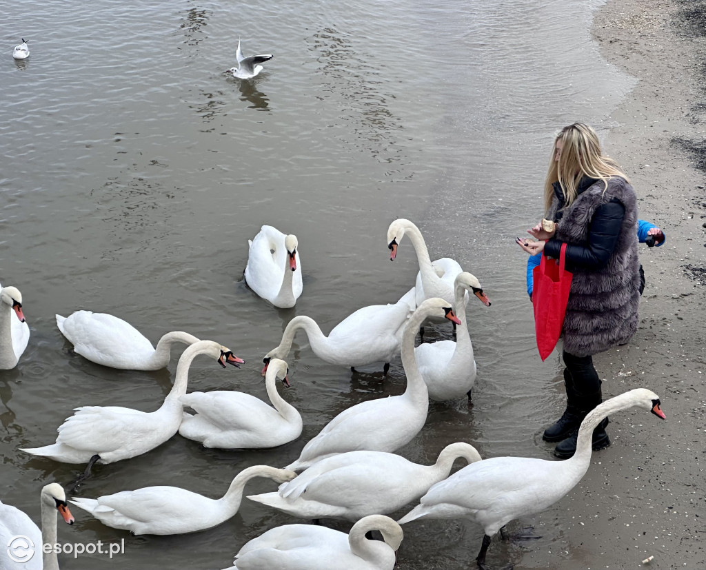 Sopot przywitał czas ferii zimowych na mokro! Pochmurny kurort na zdjęciach [FOTO]
