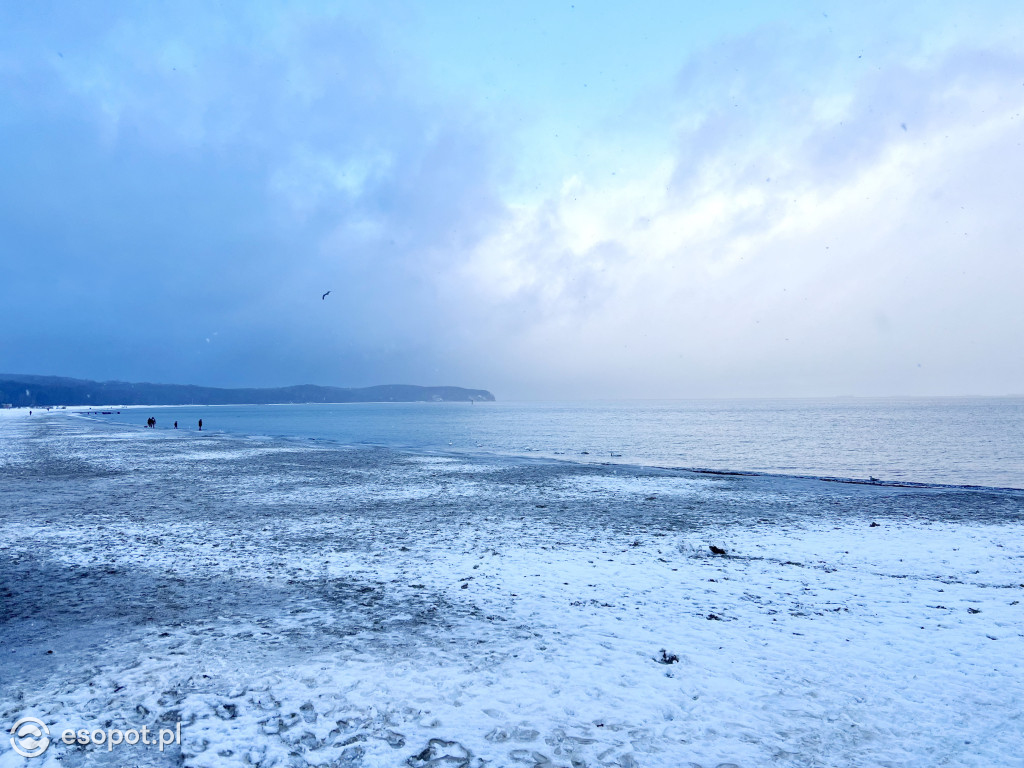 Sopot zachwyca klimatem nawet w brzydką pogodę! Deszcz ze śniegiem w kurorcie [FOTO]