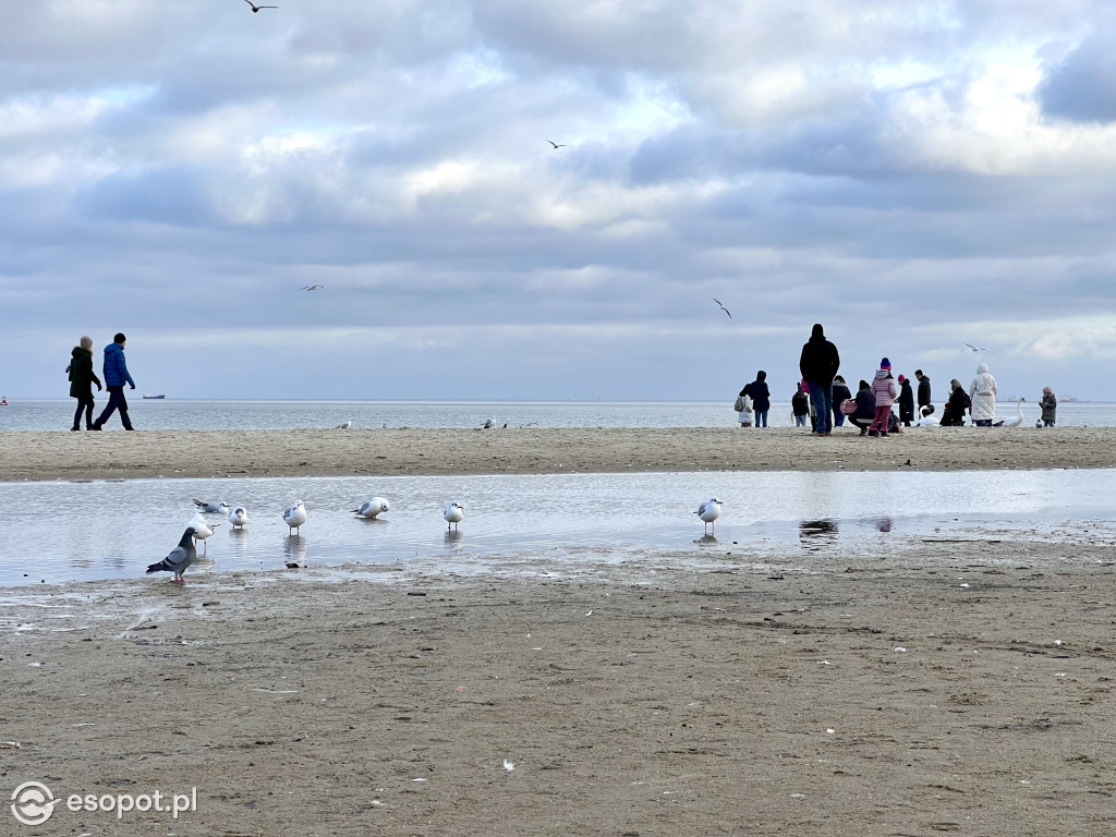 W Sopocie powiało wiosną! Pierwszy weekend ferii na zdjęciach [FOTO]