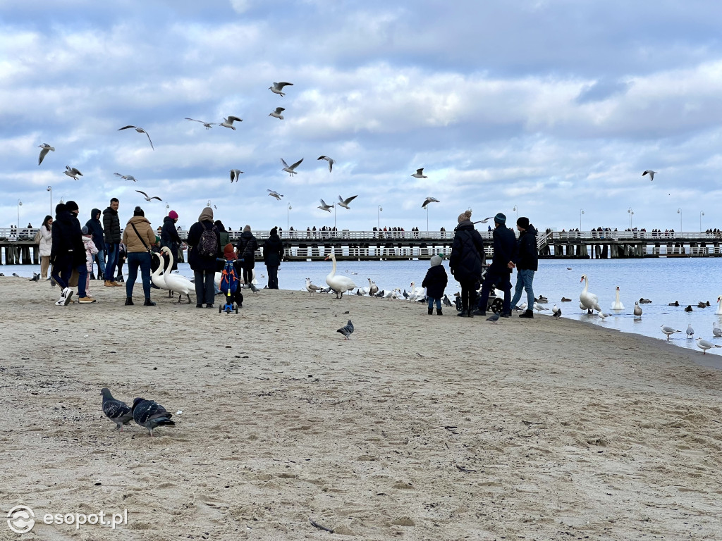 W Sopocie powiało wiosną! Pierwszy weekend ferii na zdjęciach [FOTO]