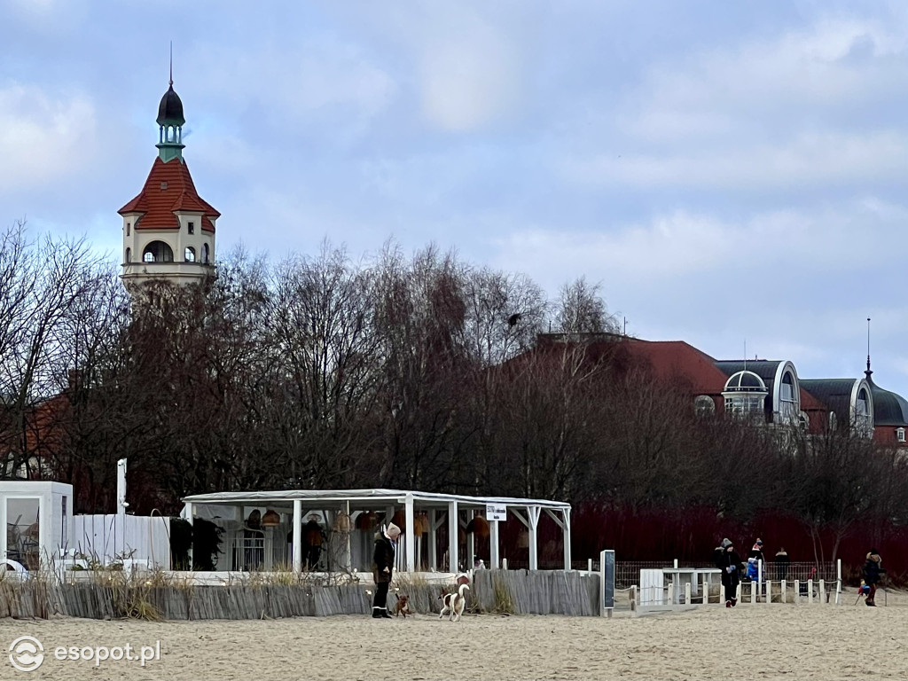 W Sopocie powiało wiosną! Pierwszy weekend ferii na zdjęciach [FOTO]