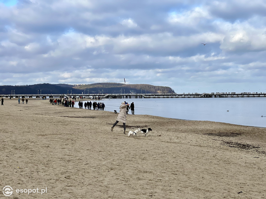 W Sopocie powiało wiosną! Pierwszy weekend ferii na zdjęciach [FOTO]