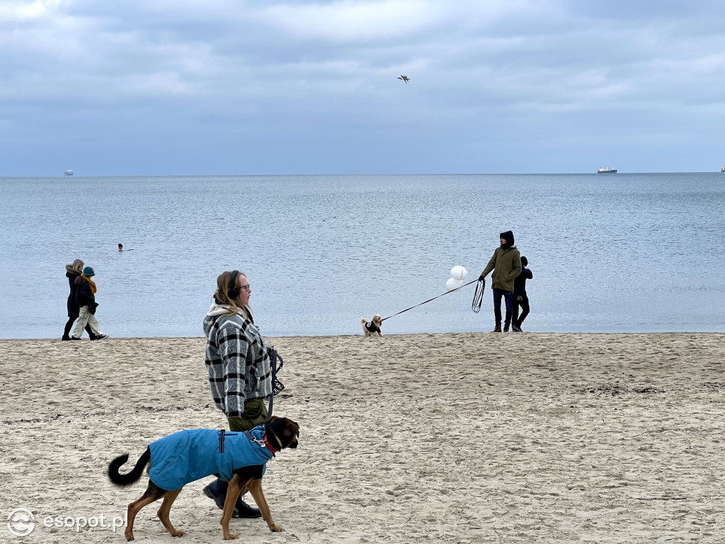 W Sopocie powiało wiosną! Pierwszy weekend ferii na zdjęciach [FOTO]
