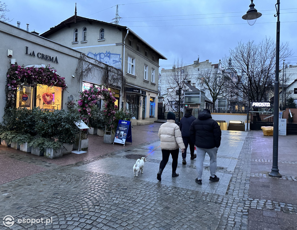 Sopot zachwyca w każdą pogodę! Deszczowy kurort na zdjęciach [FOTO]