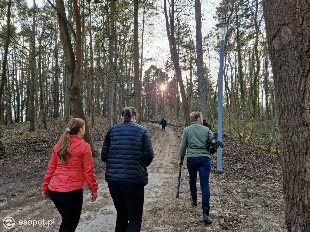 Sopot dla ciała i ducha! Odkryj nowy Leśny Szlak Kuracyjny [FOTO]