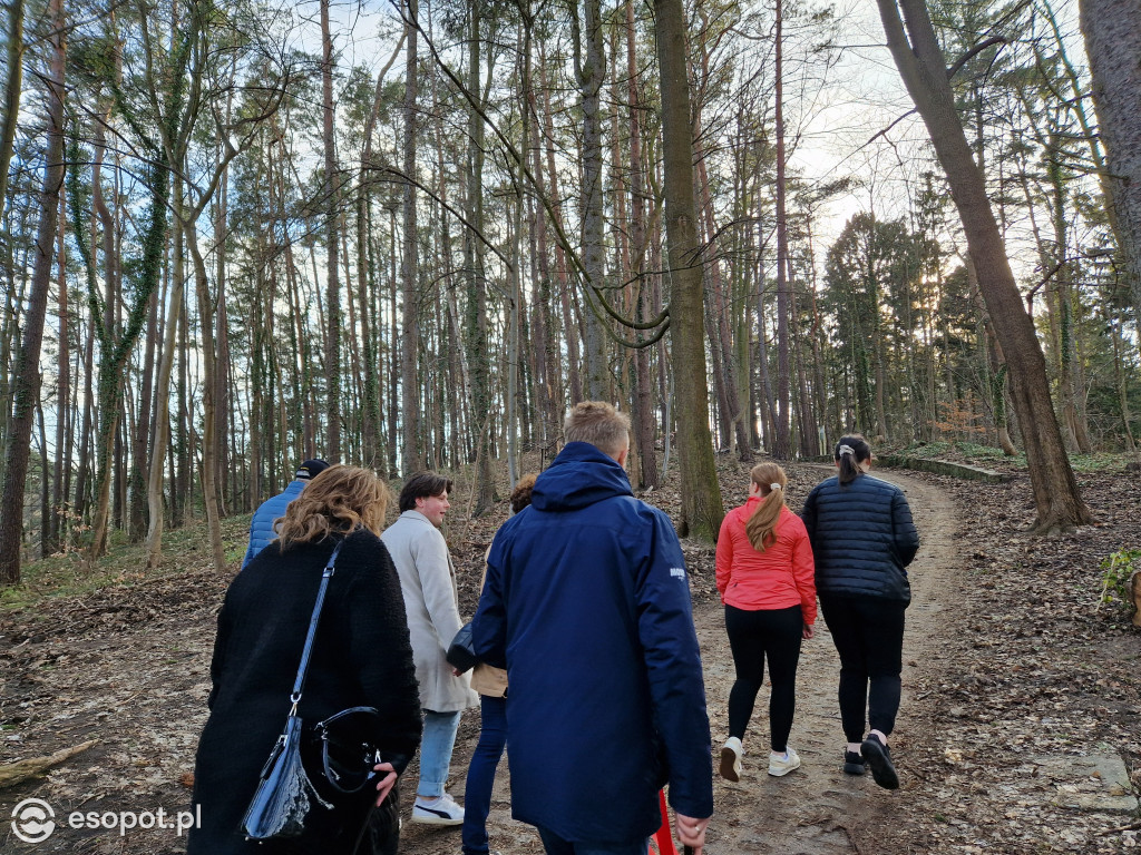 Sopot dla ciała i ducha! Odkryj nowy Leśny Szlak Kuracyjny [FOTO]