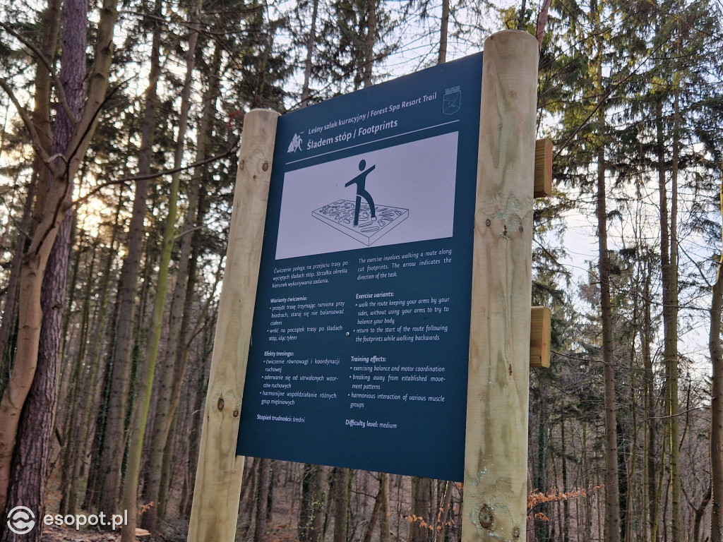 Sopot dla ciała i ducha! Odkryj nowy Leśny Szlak Kuracyjny [FOTO]