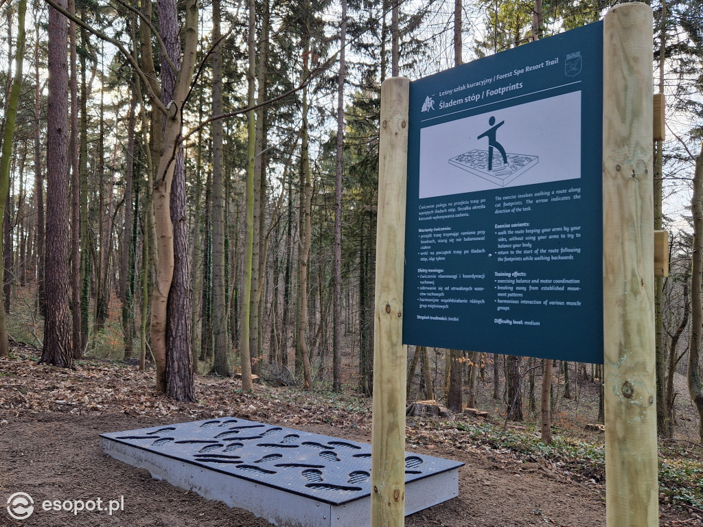 Sopot dla ciała i ducha! Odkryj nowy Leśny Szlak Kuracyjny [FOTO]