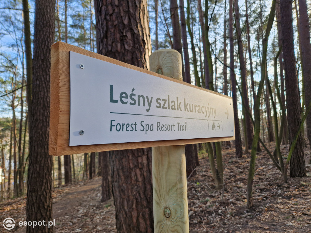 Sopot dla ciała i ducha! Odkryj nowy Leśny Szlak Kuracyjny [FOTO]