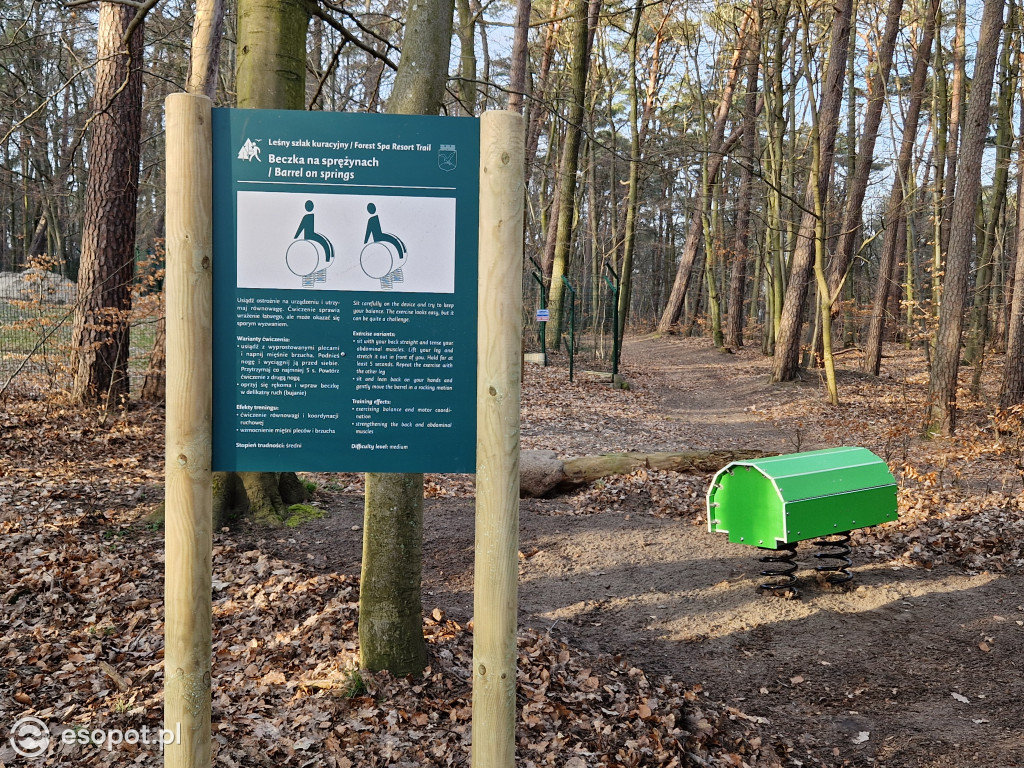 Sopot dla ciała i ducha! Odkryj nowy Leśny Szlak Kuracyjny [FOTO]