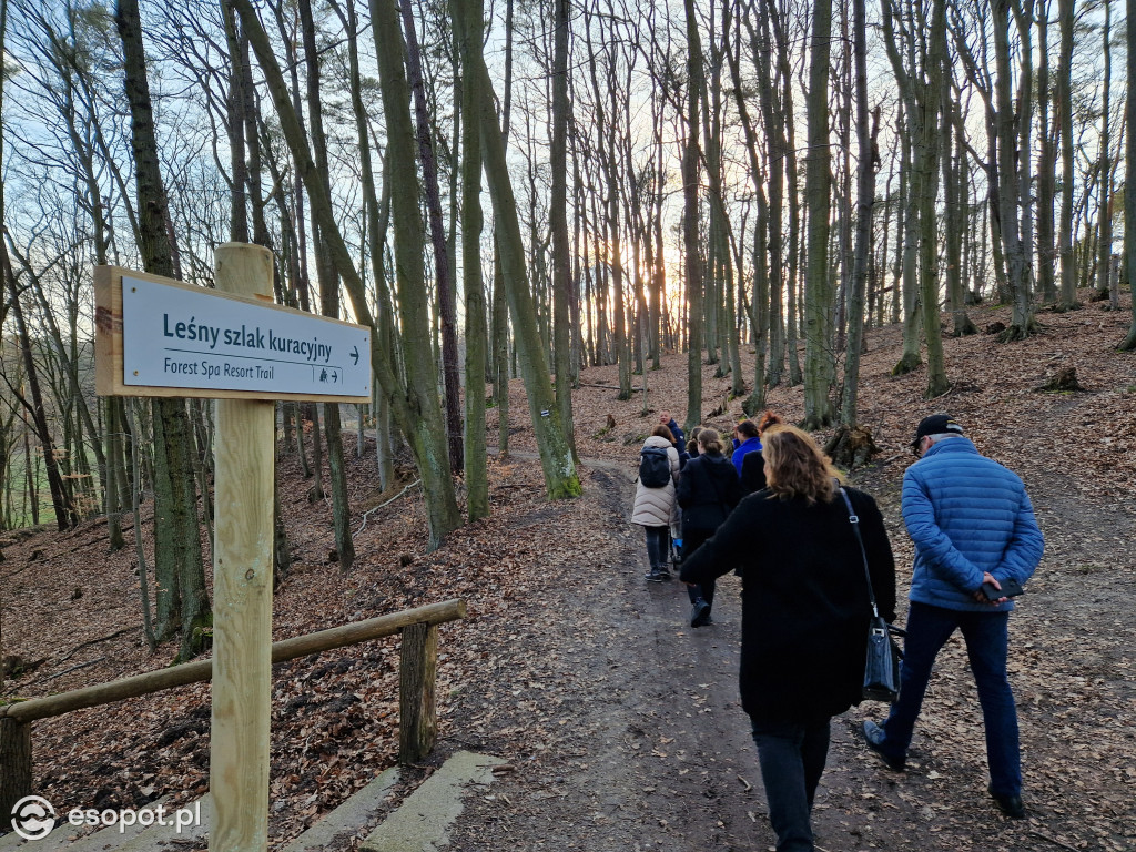 Sopot dla ciała i ducha! Odkryj nowy Leśny Szlak Kuracyjny [FOTO]