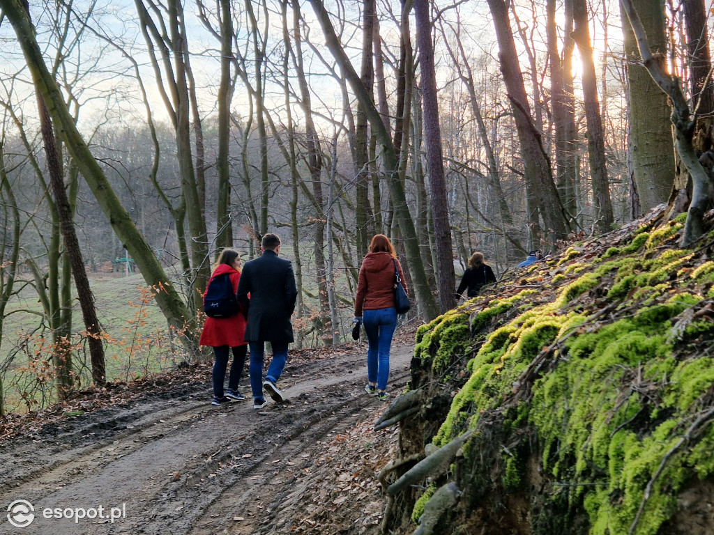 Sopot dla ciała i ducha! Odkryj nowy Leśny Szlak Kuracyjny [FOTO]