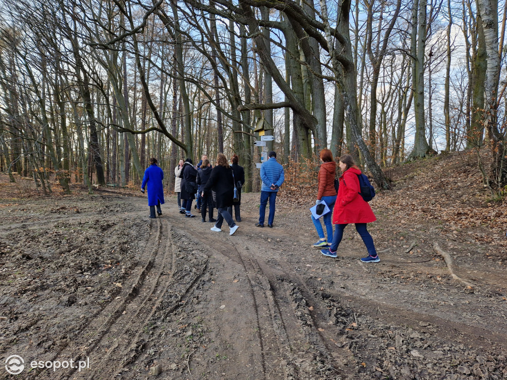 Sopot dla ciała i ducha! Odkryj nowy Leśny Szlak Kuracyjny [FOTO]