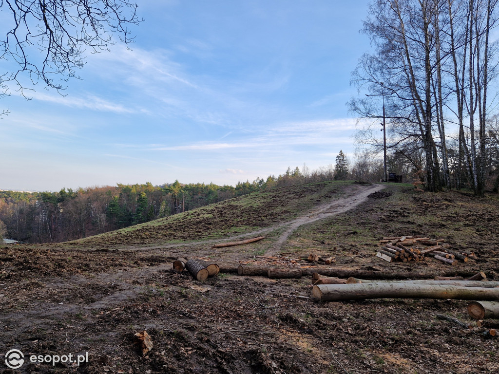 Sopot dla ciała i ducha! Odkryj nowy Leśny Szlak Kuracyjny [FOTO]