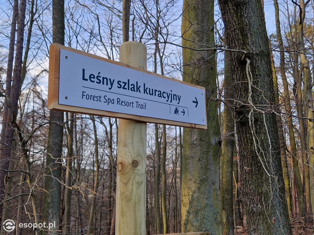 Sopot dla ciała i ducha! Odkryj nowy Leśny Szlak Kuracyjny [FOTO]