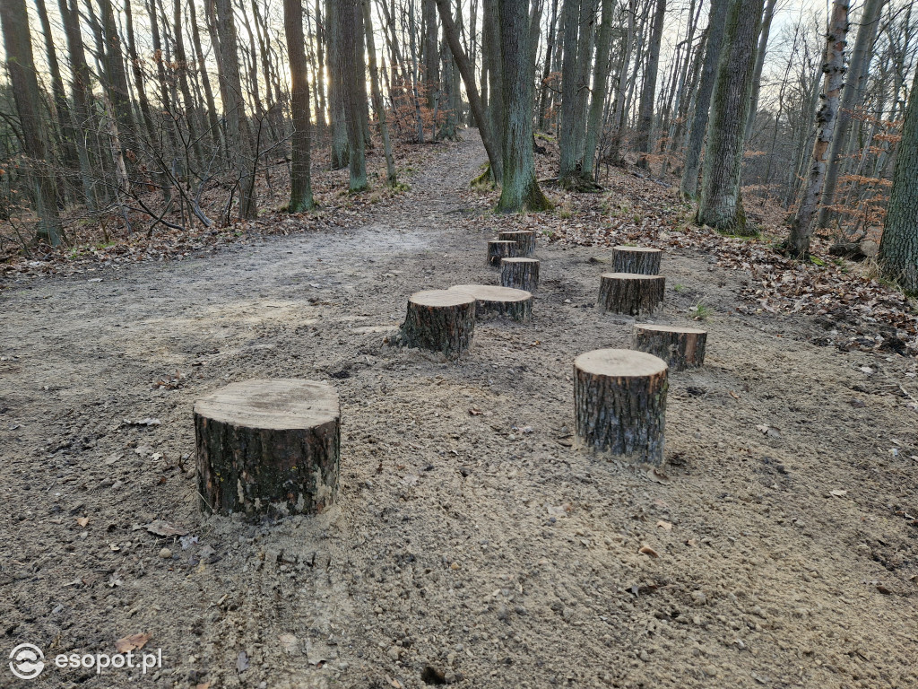 Sopot dla ciała i ducha! Odkryj nowy Leśny Szlak Kuracyjny [FOTO]