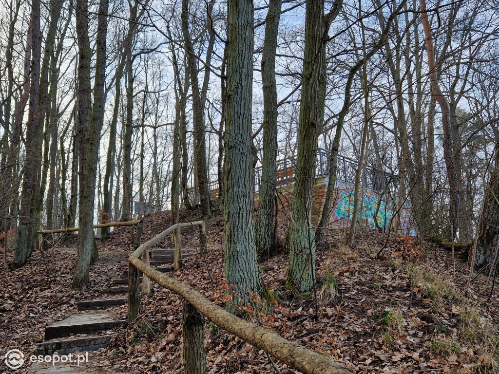 Sopot dla ciała i ducha! Odkryj nowy Leśny Szlak Kuracyjny [FOTO]